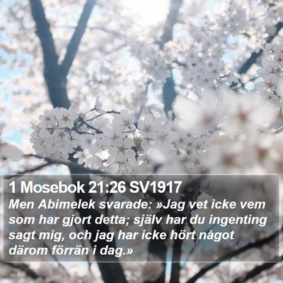 1 Mosebok 21:26 SV1917 Bible Verse Image