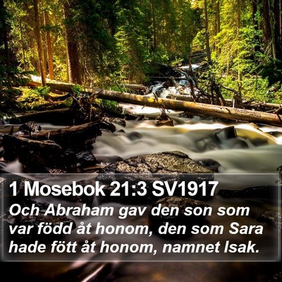 1 Mosebok 21:3 SV1917 Bible Verse Image