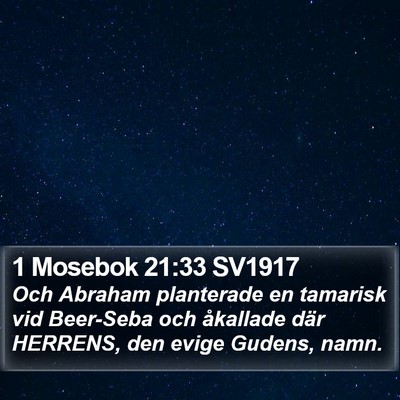 1 Mosebok 21:33 SV1917 Bible Verse Image