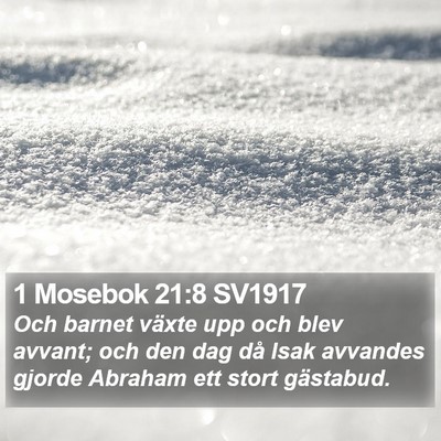 1 Mosebok 21:8 SV1917 Bible Verse Image