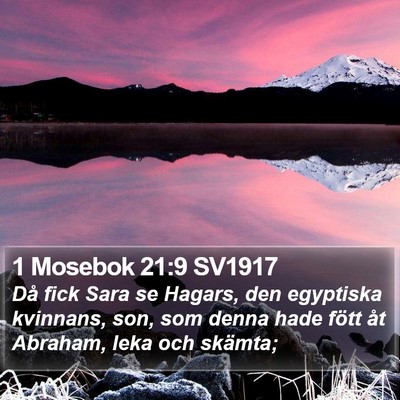 1 Mosebok 21:9 SV1917 Bible Verse Image