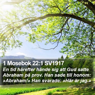 1 Mosebok 22:1 SV1917 Bible Verse Image