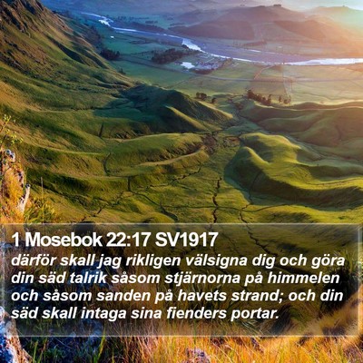 1 Mosebok 22:17 SV1917 Bible Verse Image