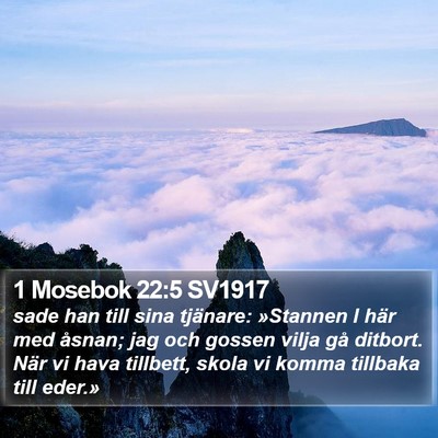 1 Mosebok 22:5 SV1917 Bible Verse Image