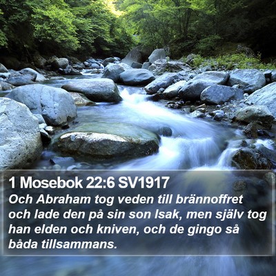 1 Mosebok 22:6 SV1917 Bible Verse Image