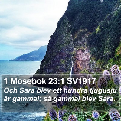 1 Mosebok 23:1 SV1917 Bible Verse Image