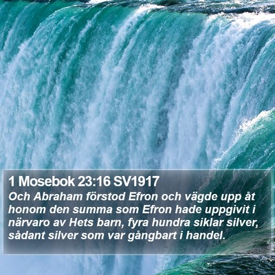 1 Mosebok 23:16 SV1917 Bible Verse Image