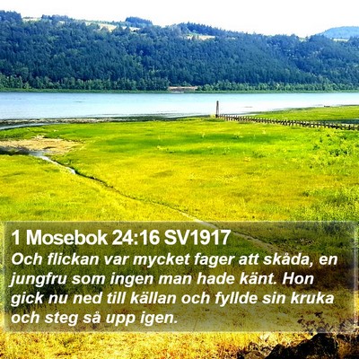 1 Mosebok 24:16 SV1917 Bible Verse Image