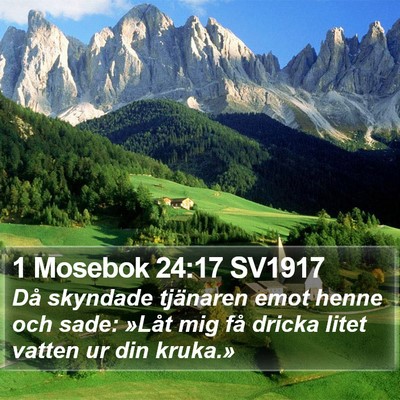 1 Mosebok 24:17 SV1917 Bible Verse Image