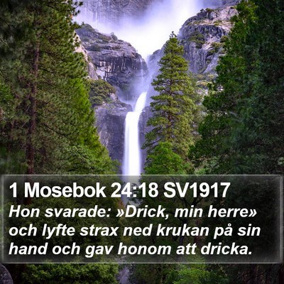 1 Mosebok 24:18 SV1917 Bible Verse Image