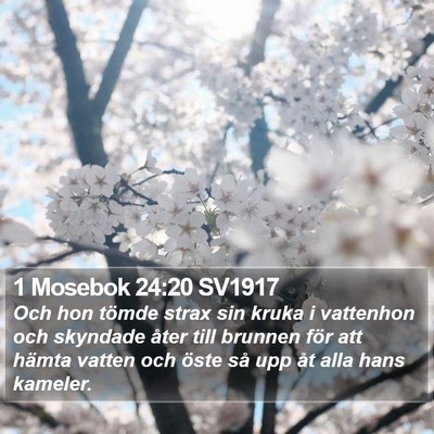 1 Mosebok 24:20 SV1917 Bible Verse Image