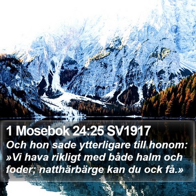 1 Mosebok 24:25 SV1917 Bible Verse Image