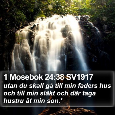 1 Mosebok 24:38 SV1917 Bible Verse Image
