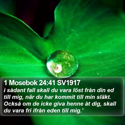 1 Mosebok 24:41 SV1917 Bible Verse Image