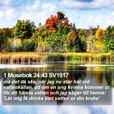 1 Mosebok 24:43 SV1917 Bible Verse Image