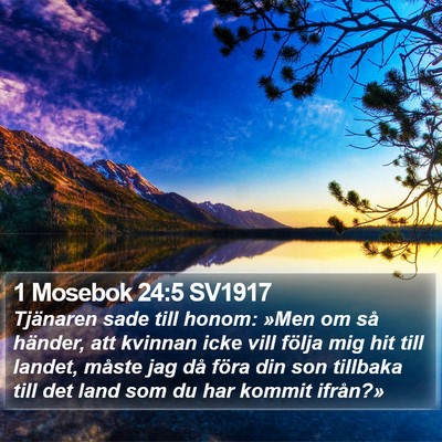 1 Mosebok 24:5 SV1917 Bible Verse Image