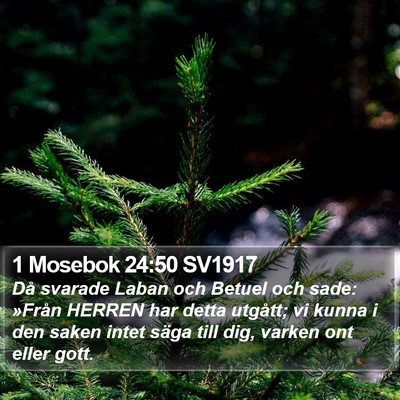 1 Mosebok 24:50 SV1917 Bible Verse Image