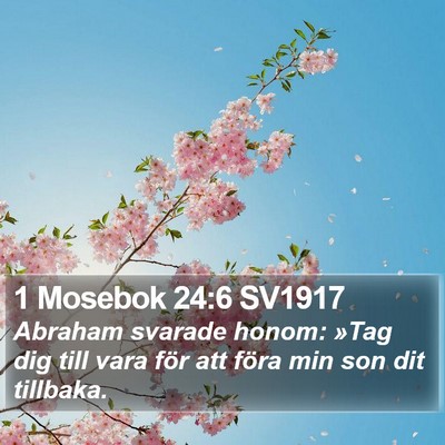 1 Mosebok 24:6 SV1917 Bible Verse Image