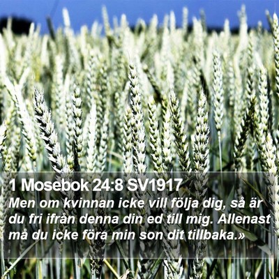1 Mosebok 24:8 SV1917 Bible Verse Image