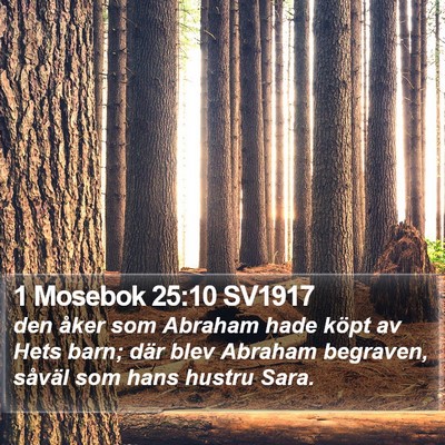 1 Mosebok 25:10 SV1917 Bible Verse Image