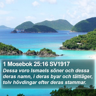 1 Mosebok 25:16 SV1917 Bible Verse Image