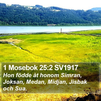 1 Mosebok 25:2 SV1917 Bible Verse Image