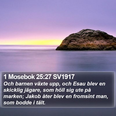 1 Mosebok 25:27 SV1917 Bible Verse Image