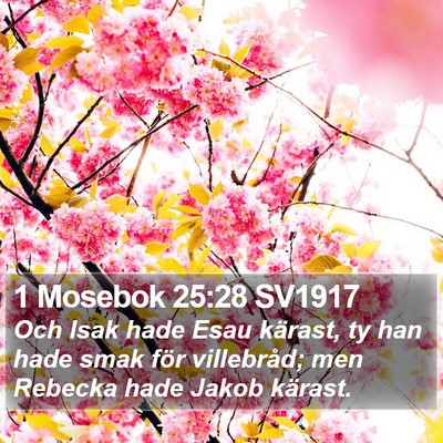 1 Mosebok 25:28 SV1917 Bible Verse Image