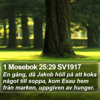 1 Mosebok 25:29 SV1917 Bible Verse Image