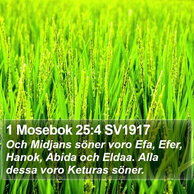 1 Mosebok 25:4 SV1917 Bible Verse Image