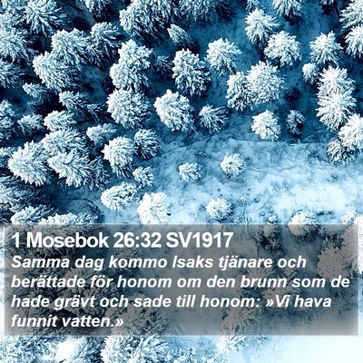 1 Mosebok 26:32 SV1917 Bible Verse Image