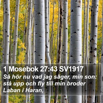 1 Mosebok 27:43 SV1917 Bible Verse Image