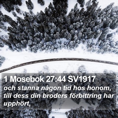 1 Mosebok 27:44 SV1917 Bible Verse Image