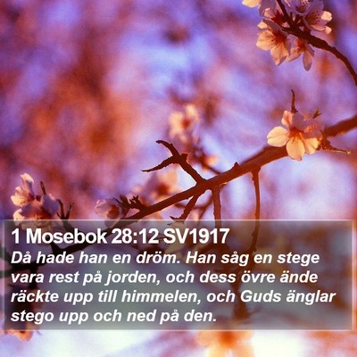 1 Mosebok 28:12 SV1917 Bible Verse Image