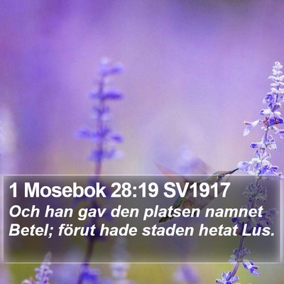 1 Mosebok 28:19 SV1917 Bible Verse Image