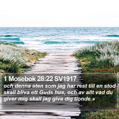 1 Mosebok 28:22 SV1917 Bible Verse Image
