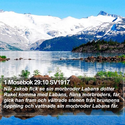 1 Mosebok 29:10 SV1917 Bible Verse Image