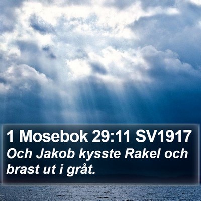 1 Mosebok 29:11 SV1917 Bible Verse Image