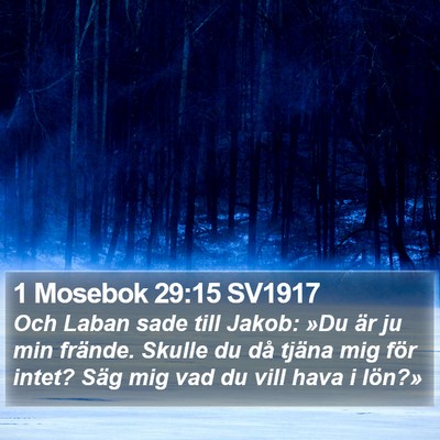 1 Mosebok 29:15 SV1917 Bible Verse Image