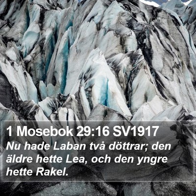 1 Mosebok 29:16 SV1917 Bible Verse Image
