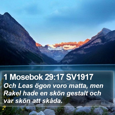 1 Mosebok 29:17 SV1917 Bible Verse Image