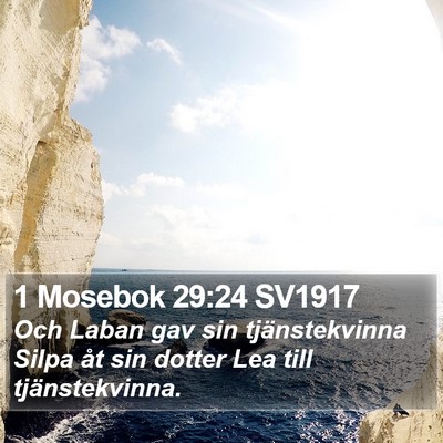 1 Mosebok 29:24 SV1917 Bible Verse Image
