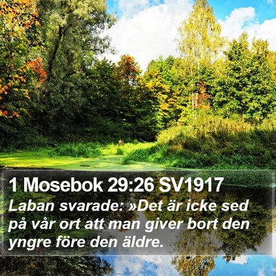 1 Mosebok 29:26 SV1917 Bible Verse Image