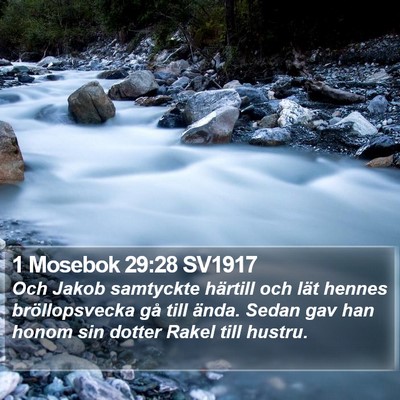 1 Mosebok 29:28 SV1917 Bible Verse Image