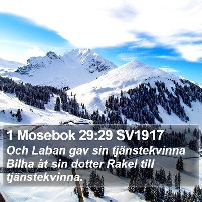 1 Mosebok 29:29 SV1917 Bible Verse Image