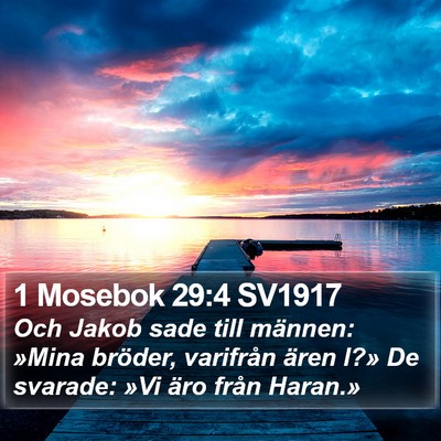 1 Mosebok 29:4 SV1917 Bible Verse Image