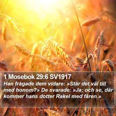 1 Mosebok 29:6 SV1917 Bible Verse Image
