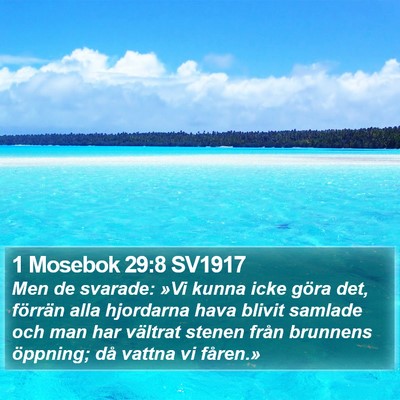 1 Mosebok 29:8 SV1917 Bible Verse Image
