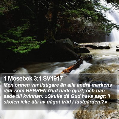 1 Mosebok 3:1 SV1917 Bible Verse Image