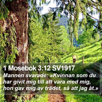 1 Mosebok 3:12 SV1917 Bible Verse Image